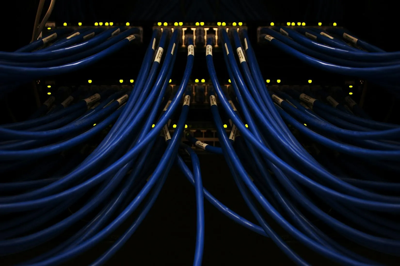 Network Infrastructure & Security